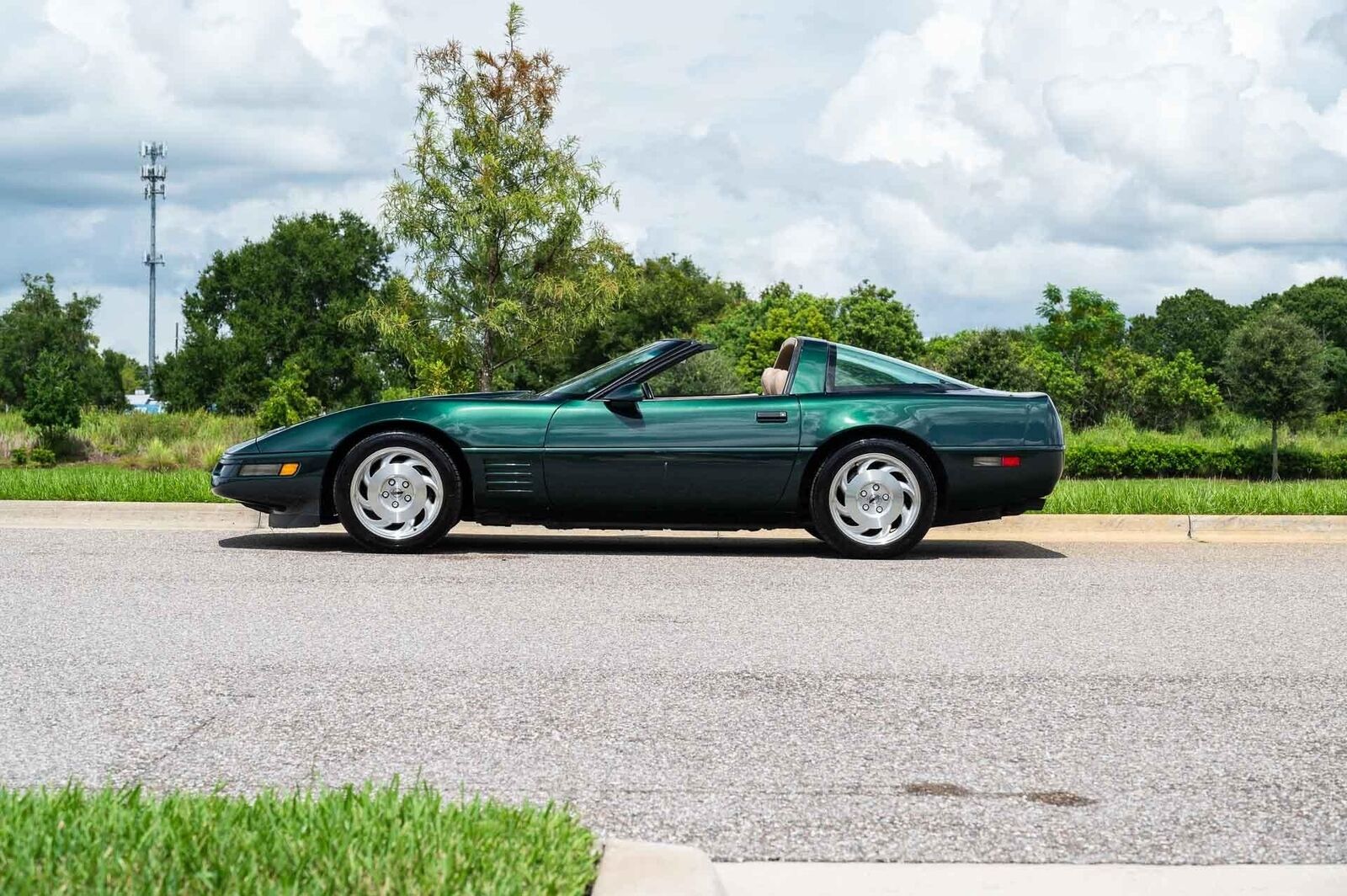 Chevrolet-Corvette-1993-Green-Tan-66719-1