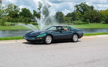 Chevrolet-Corvette-1993-Green-Tan-66719-18