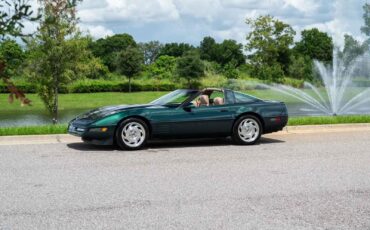 Chevrolet-Corvette-1993-Green-Tan-66719-19