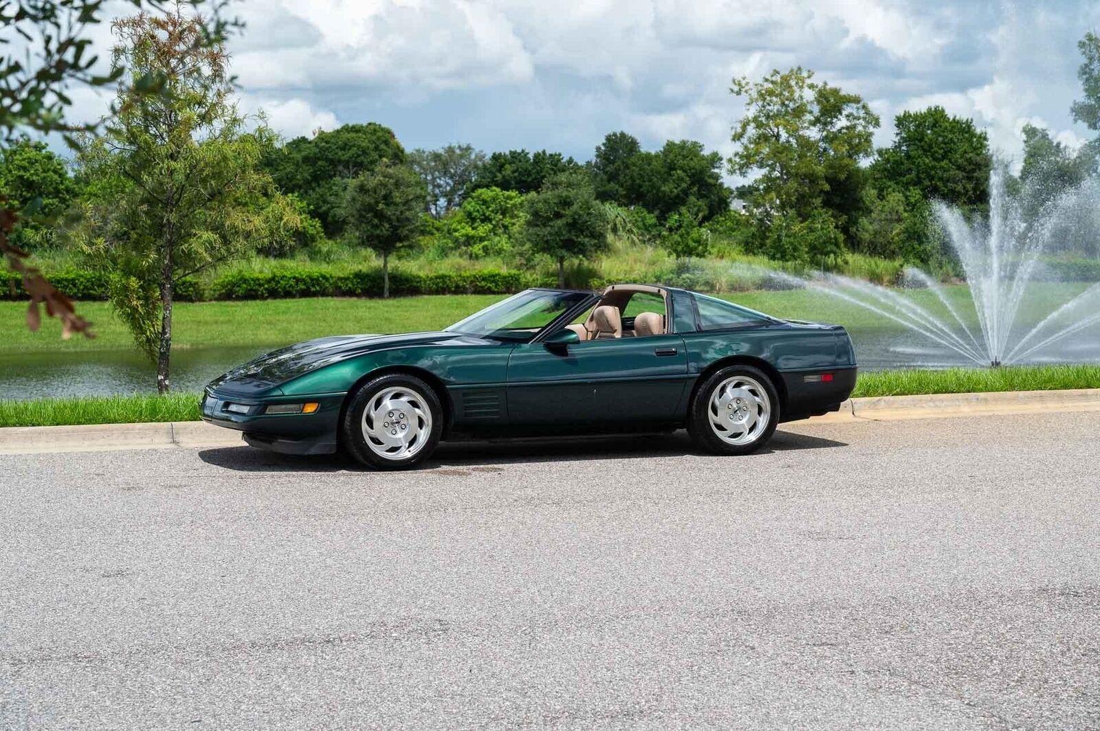 Chevrolet-Corvette-1993-Green-Tan-66719-19