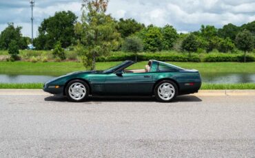 Chevrolet-Corvette-1993-Green-Tan-66719-20