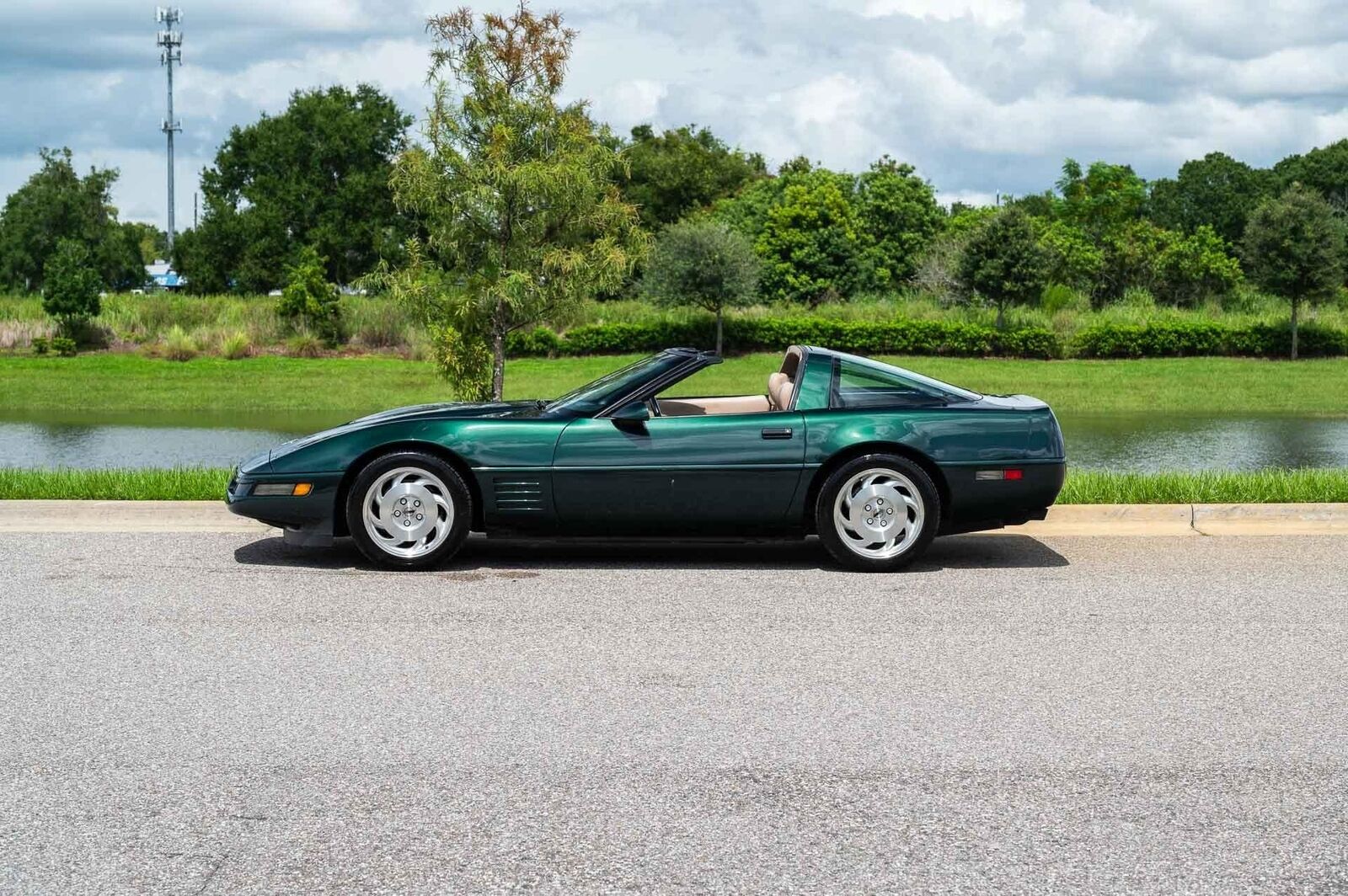 Chevrolet-Corvette-1993-Green-Tan-66719-20