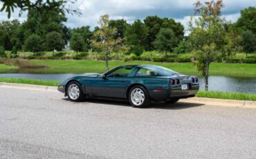 Chevrolet-Corvette-1993-Green-Tan-66719-22