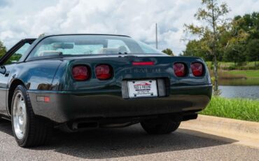 Chevrolet-Corvette-1993-Green-Tan-66719-24