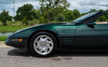 Chevrolet-Corvette-1993-Green-Tan-66719-26