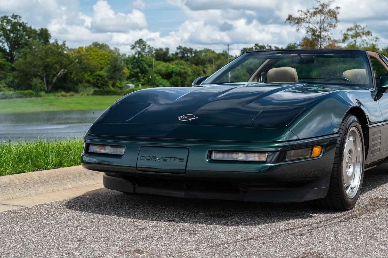 Chevrolet-Corvette-1993-Green-Tan-66719-28