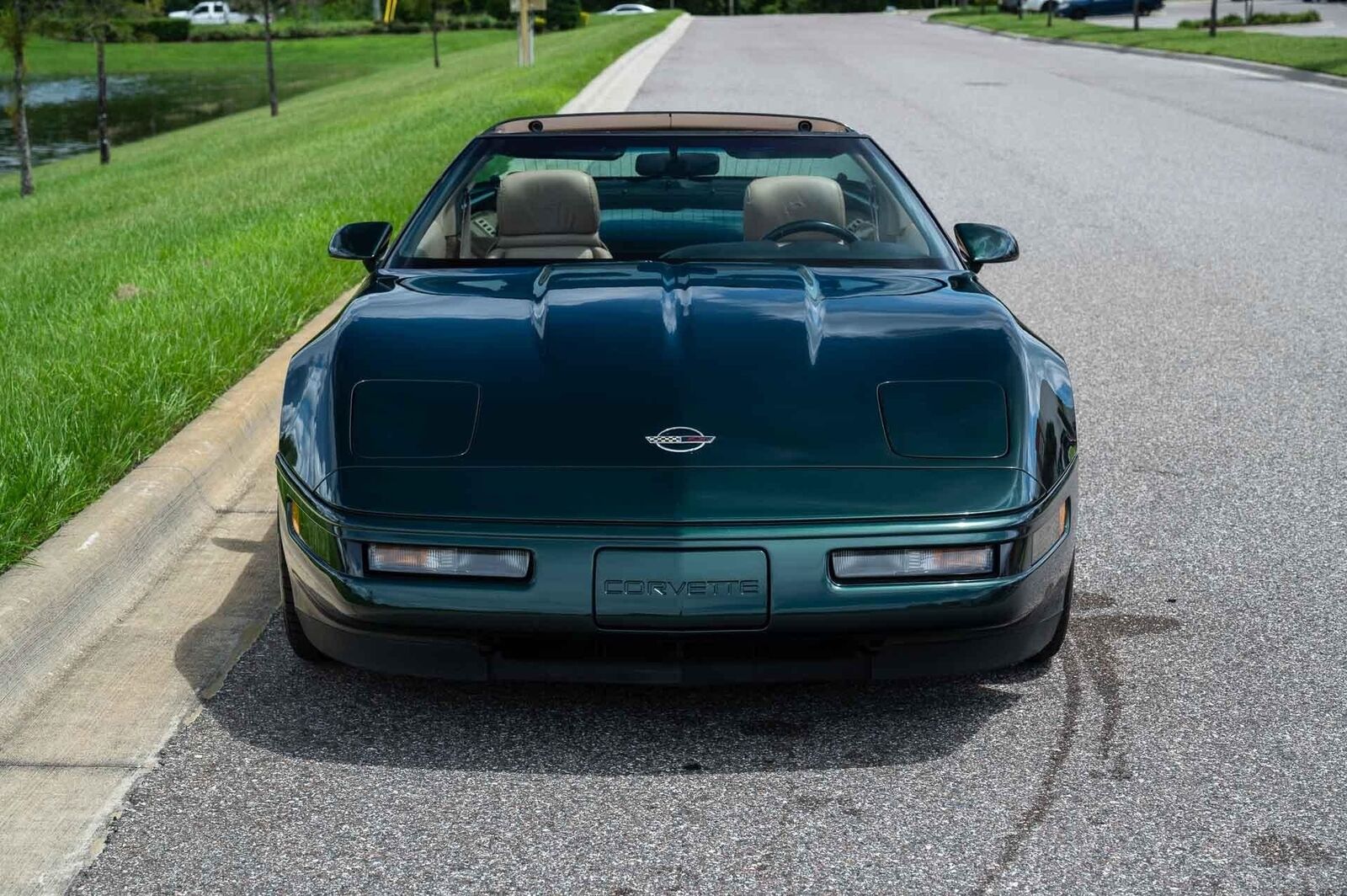 Chevrolet-Corvette-1993-Green-Tan-66719-29