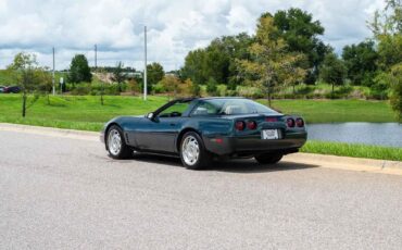 Chevrolet-Corvette-1993-Green-Tan-66719-3