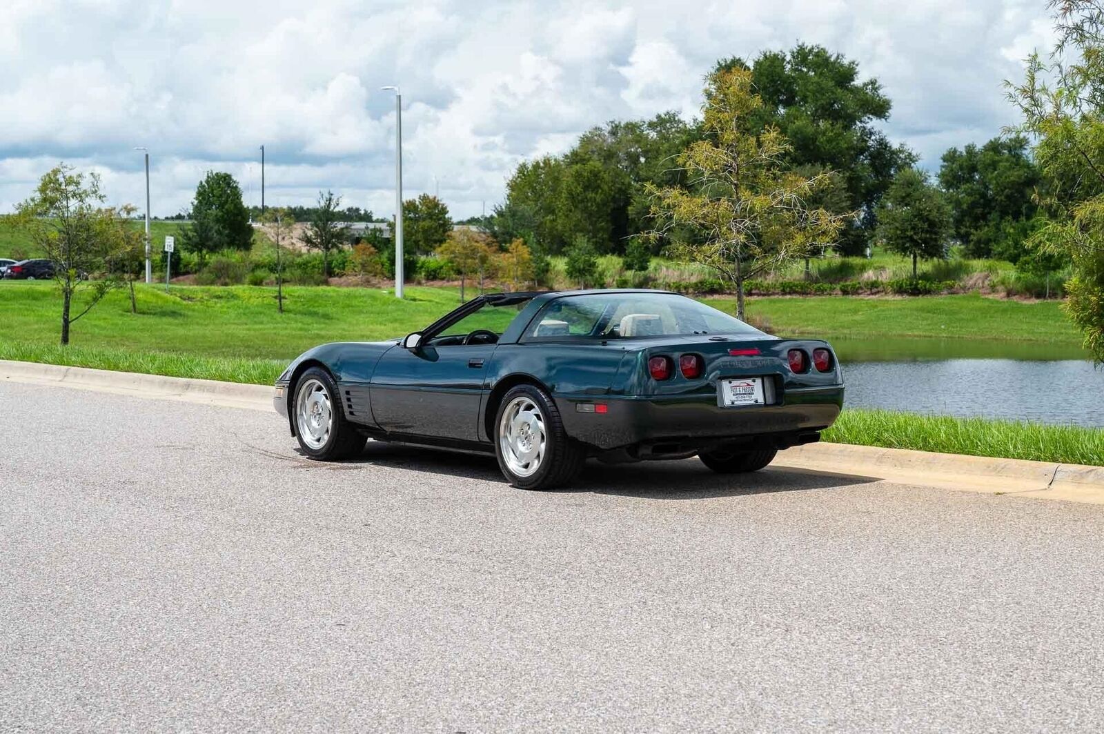 Chevrolet-Corvette-1993-Green-Tan-66719-3