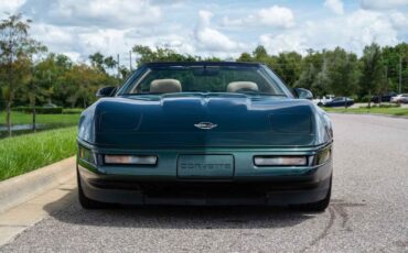 Chevrolet-Corvette-1993-Green-Tan-66719-30