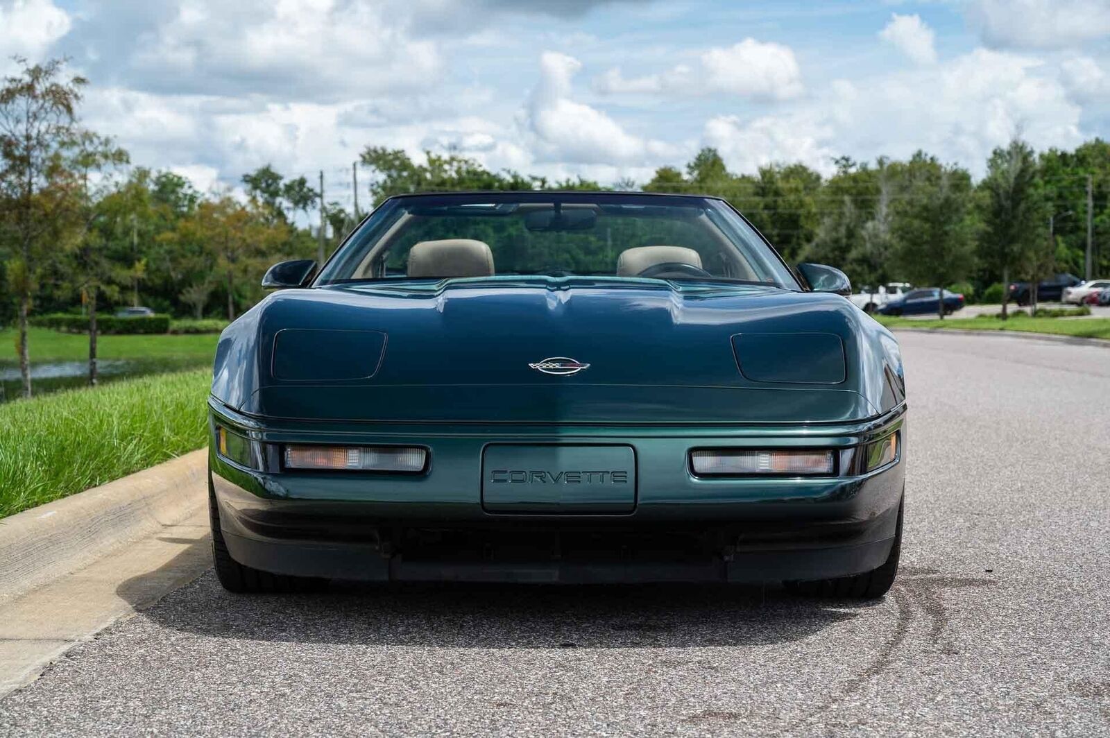 Chevrolet-Corvette-1993-Green-Tan-66719-30