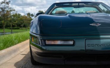 Chevrolet-Corvette-1993-Green-Tan-66719-31