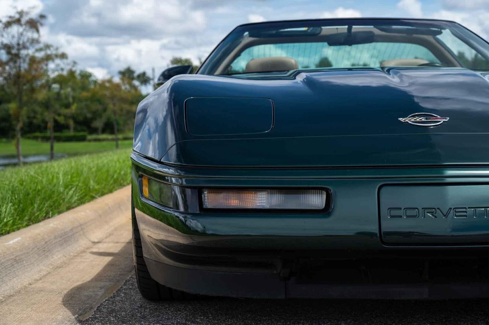 Chevrolet-Corvette-1993-Green-Tan-66719-31