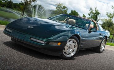 Chevrolet-Corvette-1993-Green-Tan-66719-36