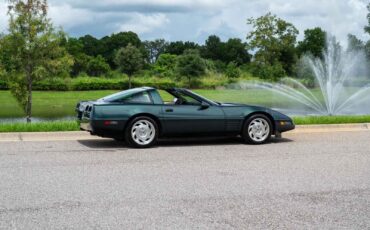 Chevrolet-Corvette-1993-Green-Tan-66719-39