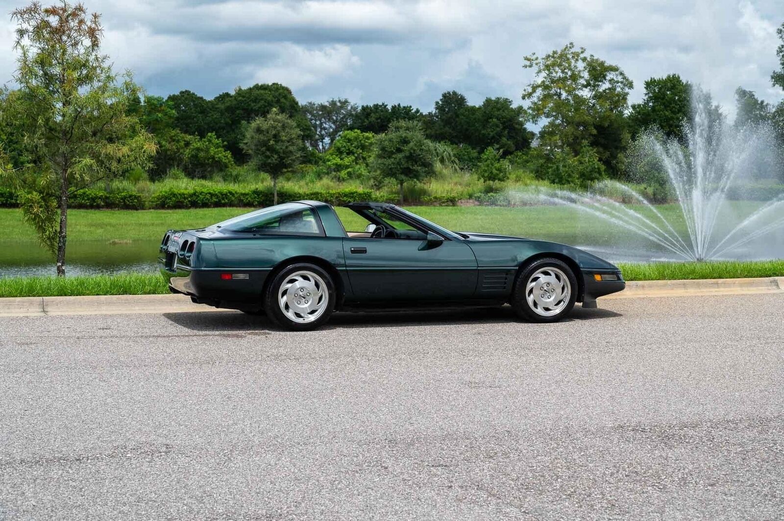 Chevrolet-Corvette-1993-Green-Tan-66719-39