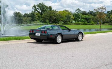 Chevrolet-Corvette-1993-Green-Tan-66719-5