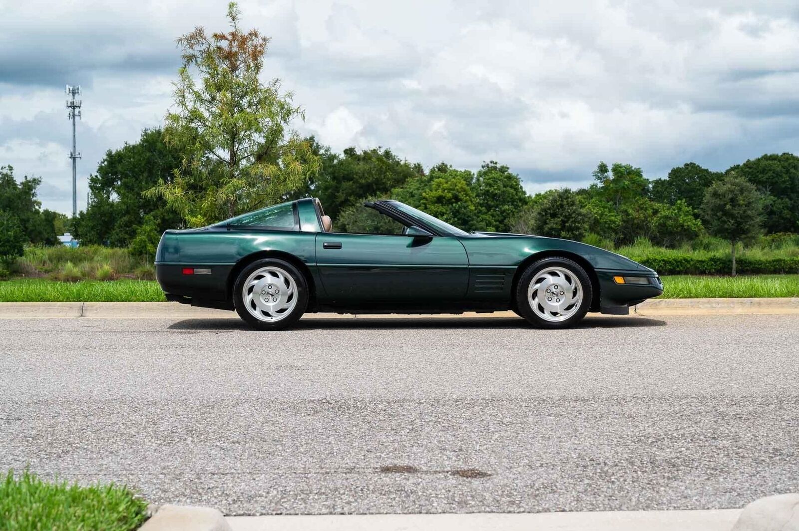 Chevrolet-Corvette-1993-Green-Tan-66719-6