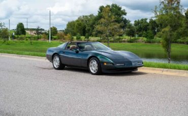 Chevrolet-Corvette-1993-Green-Tan-66719-8