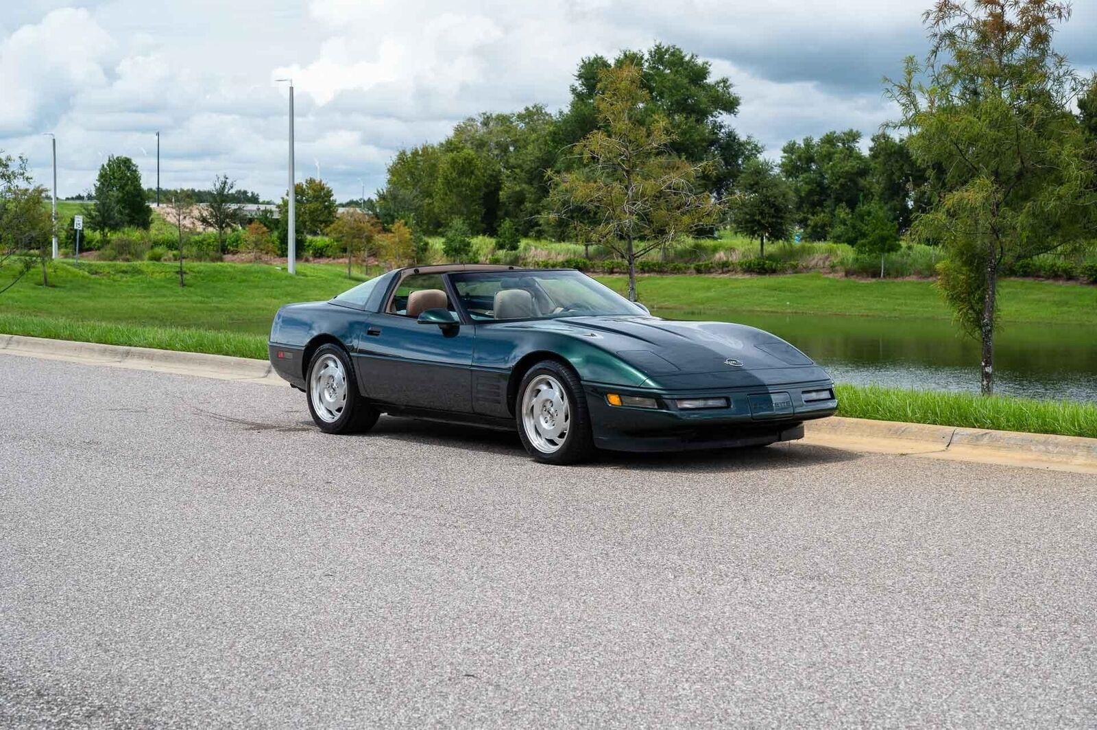 Chevrolet-Corvette-1993-Green-Tan-66719-8