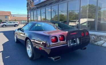 Chevrolet-Corvette-1993-custom-67418-5