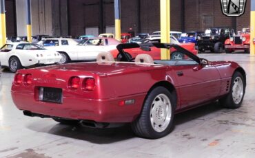 Chevrolet-Corvette-1994-Maroon-Tan-37573-4