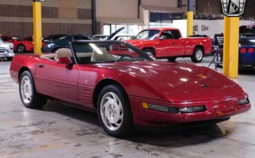 Chevrolet-Corvette-1994-Maroon-Tan-37573-5