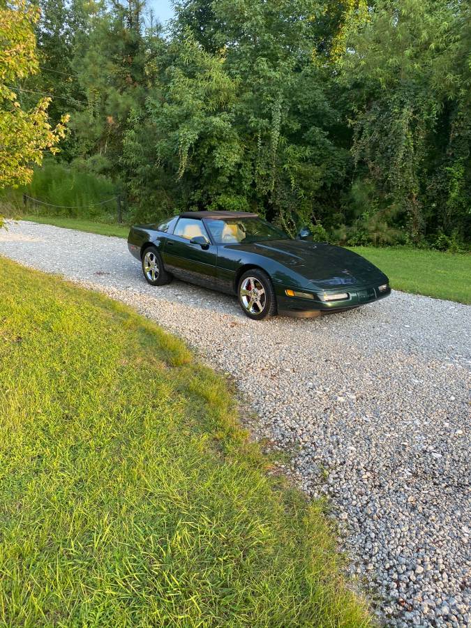 Chevrolet-Corvette-1994-green-74030-1