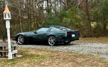 Chevrolet-Corvette-1994-green-74030-3