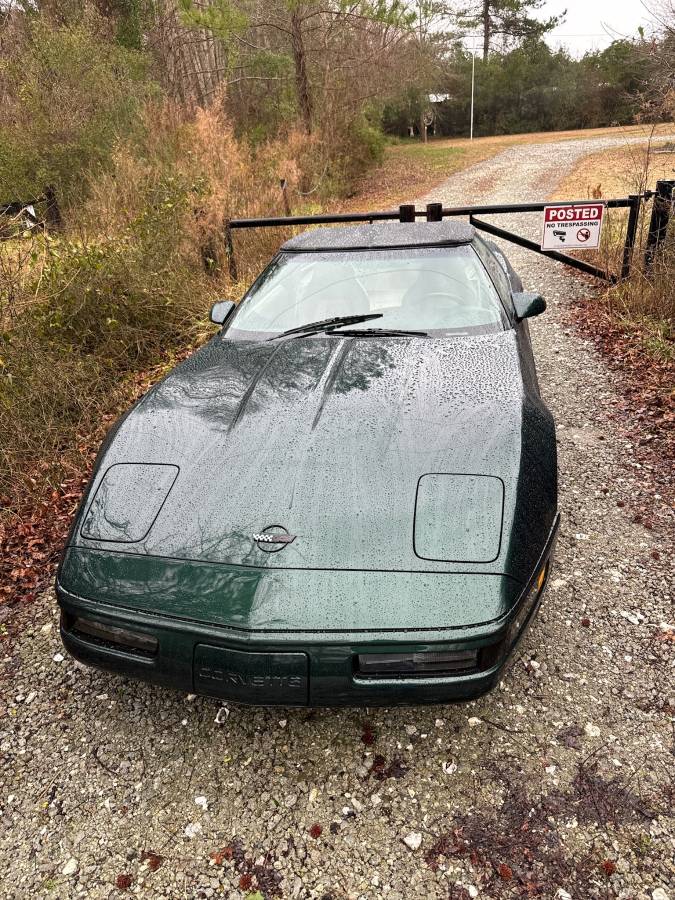 Chevrolet-Corvette-1994-green-74030-4