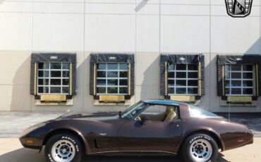 Chevrolet-Corvette-Cabriolet-1978-5