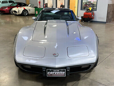 Chevrolet-Corvette-Cabriolet-1978-Silver-Black-95291-10