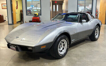 Chevrolet-Corvette-Cabriolet-1978-Silver-Black-95291-11