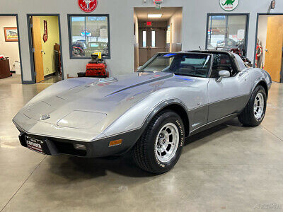 Chevrolet-Corvette-Cabriolet-1978-Silver-Black-95291-11