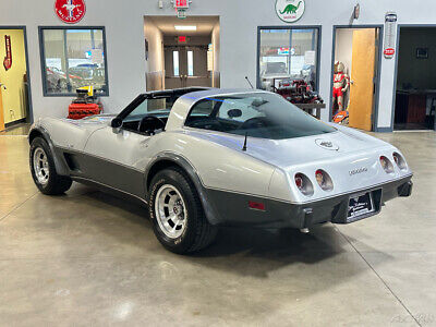 Chevrolet-Corvette-Cabriolet-1978-Silver-Black-95291-13