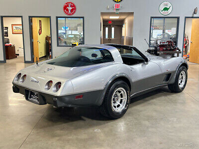 Chevrolet-Corvette-Cabriolet-1978-Silver-Black-95291-15