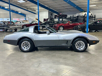 Chevrolet-Corvette-Cabriolet-1978-Silver-Black-95291-16