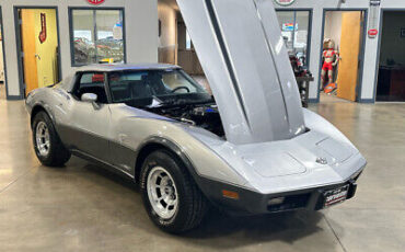 Chevrolet-Corvette-Cabriolet-1978-Silver-Black-95291-19