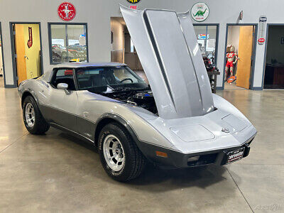 Chevrolet-Corvette-Cabriolet-1978-Silver-Black-95291-19