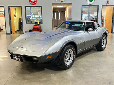 Chevrolet-Corvette-Cabriolet-1978-Silver-Black-95291-2