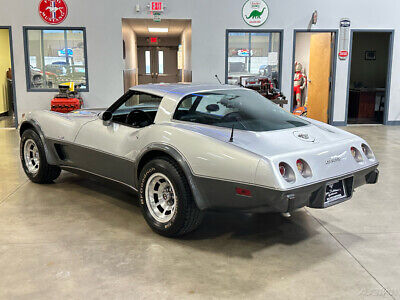 Chevrolet-Corvette-Cabriolet-1978-Silver-Black-95291-4