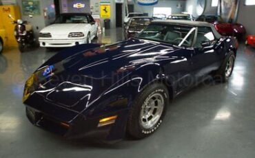 Chevrolet-Corvette-Cabriolet-1981-Blue-Gray-48615-1