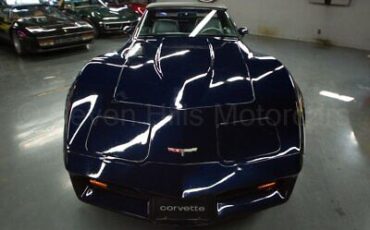 Chevrolet-Corvette-Cabriolet-1981-Blue-Gray-48615-2