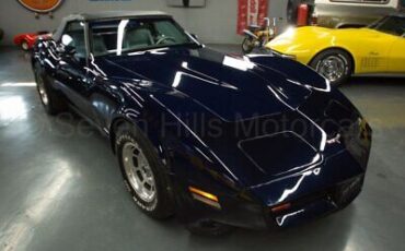 Chevrolet-Corvette-Cabriolet-1981-Blue-Gray-48615-3