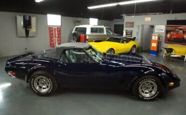 Chevrolet-Corvette-Cabriolet-1981-Blue-Gray-48615-4