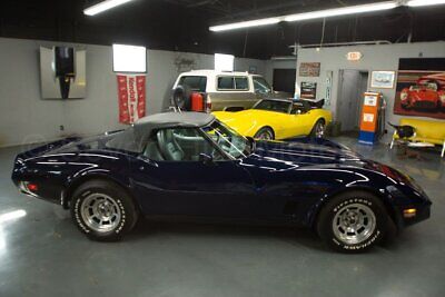 Chevrolet-Corvette-Cabriolet-1981-Blue-Gray-48615-4