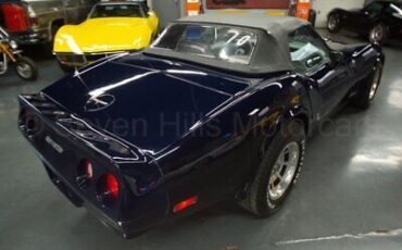 Chevrolet-Corvette-Cabriolet-1981-Blue-Gray-48615-5