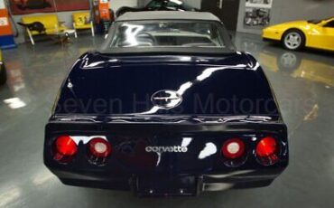 Chevrolet-Corvette-Cabriolet-1981-Blue-Gray-48615-6