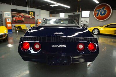 Chevrolet-Corvette-Cabriolet-1981-Blue-Gray-48615-7