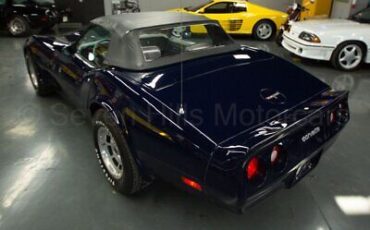 Chevrolet-Corvette-Cabriolet-1981-Blue-Gray-48615-8